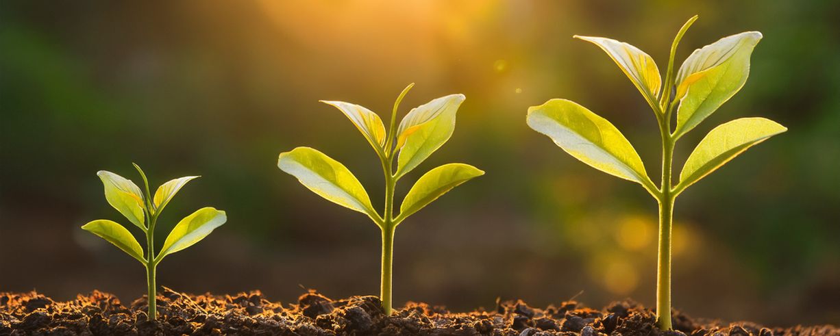 Benefits Realisation Frameworks